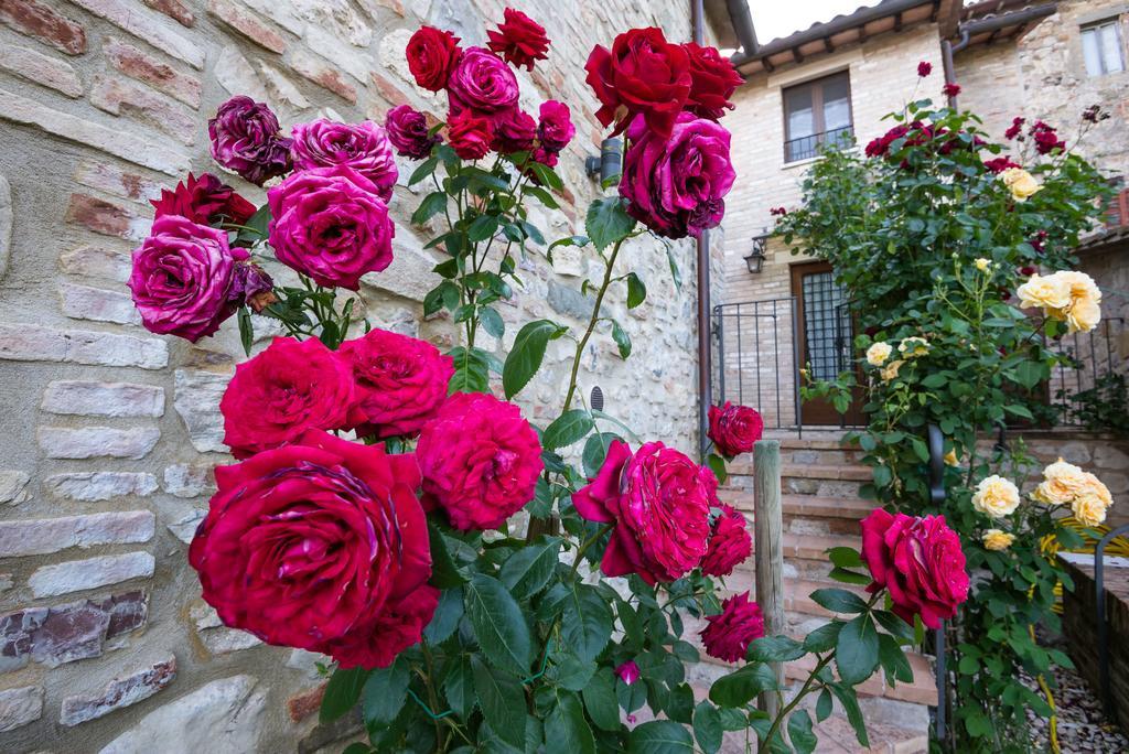 Borgocuore Todi Exteriér fotografie